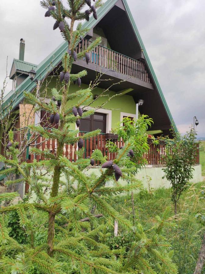 Villa Jasikovac Berane Zewnętrze zdjęcie
